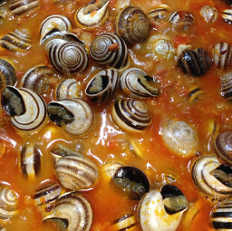 CARACOLES EN SALSA CON THERMOMIX