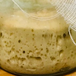 MASA MADRE: COMO HACER. DESDE EL PRINCIPIO Y COMO CONSERVARLA