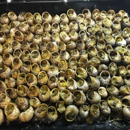 CARACOLES A LA LLAUNA